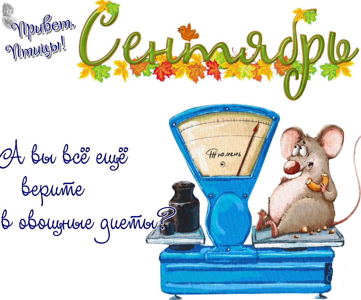 https://radika1.link/2025/09/09/09_09edd8580a2c5a3e0e.png