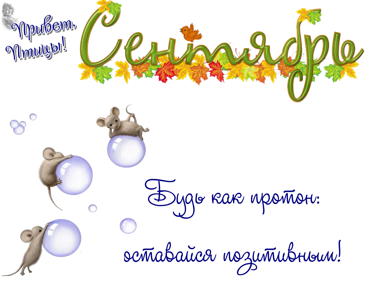 https://radika1.link/2025/09/10/10_091355c82f08d05c57.png
