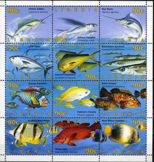 Screenshot_22f28064f5f6e4b9f.png