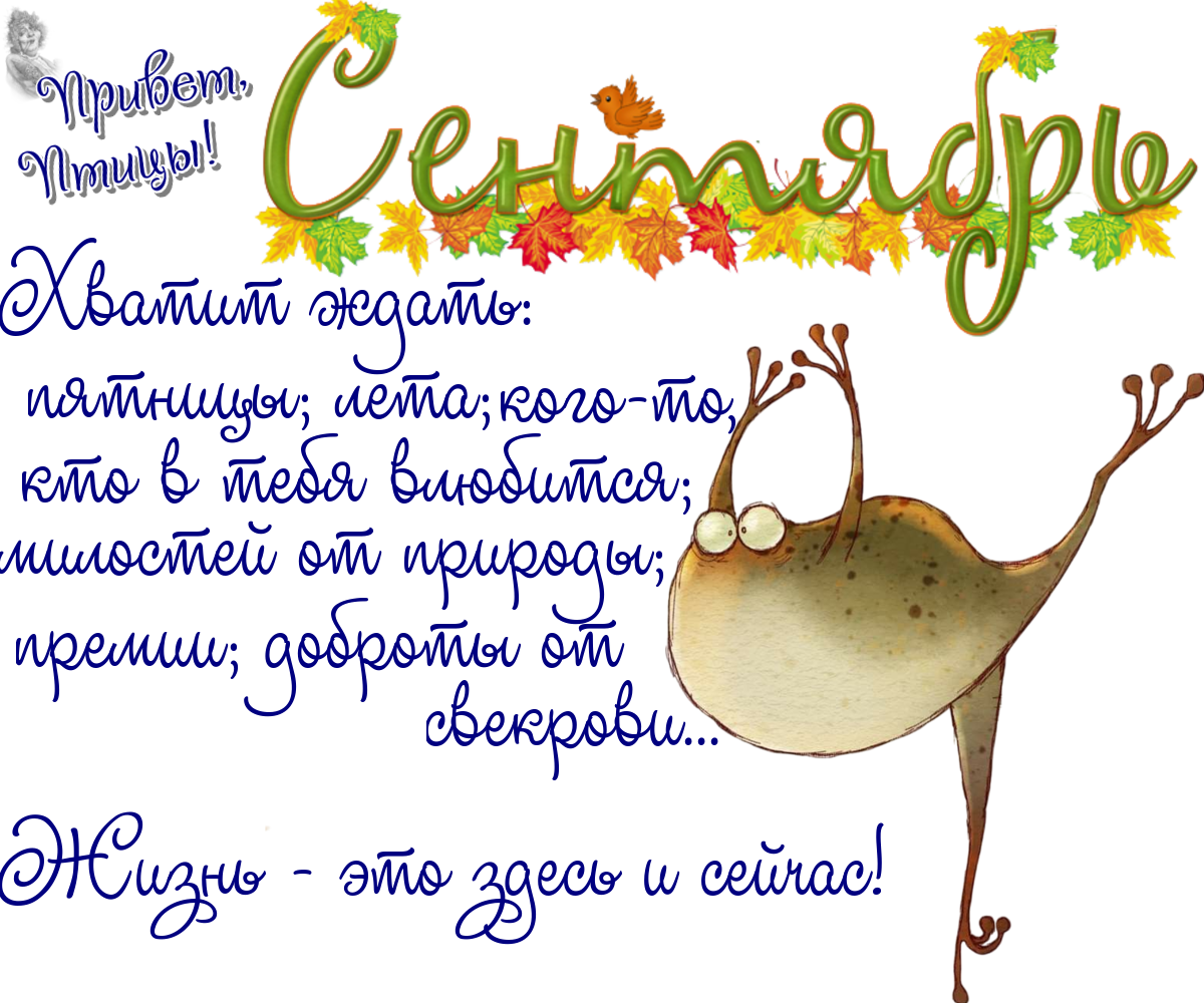 https://radika1.link/2025/09/11/11_09277eabeaa7b77e07.png