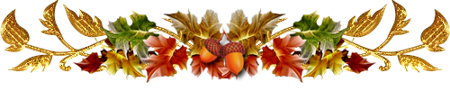 O-8beecc547ef686f55.png