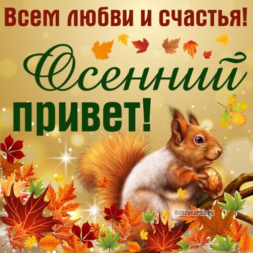 OSEN4a7e7770533bee4d4.jpg