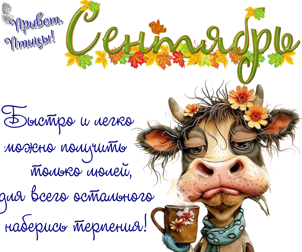 https://radika1.link/2025/09/12/12_09878f530d37483b9d.png