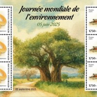 4c3cd5f1e06fac15ac