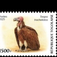 4d92dcc10bc6bc39a0