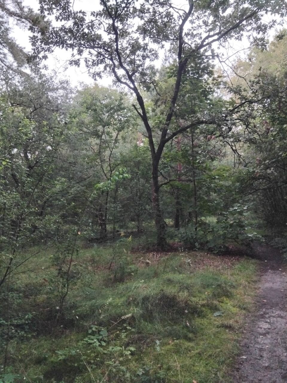https://radika1.link/2025/09/17/photo_2025-09-17_13-55-43-3acf737ada75e7288.jpg