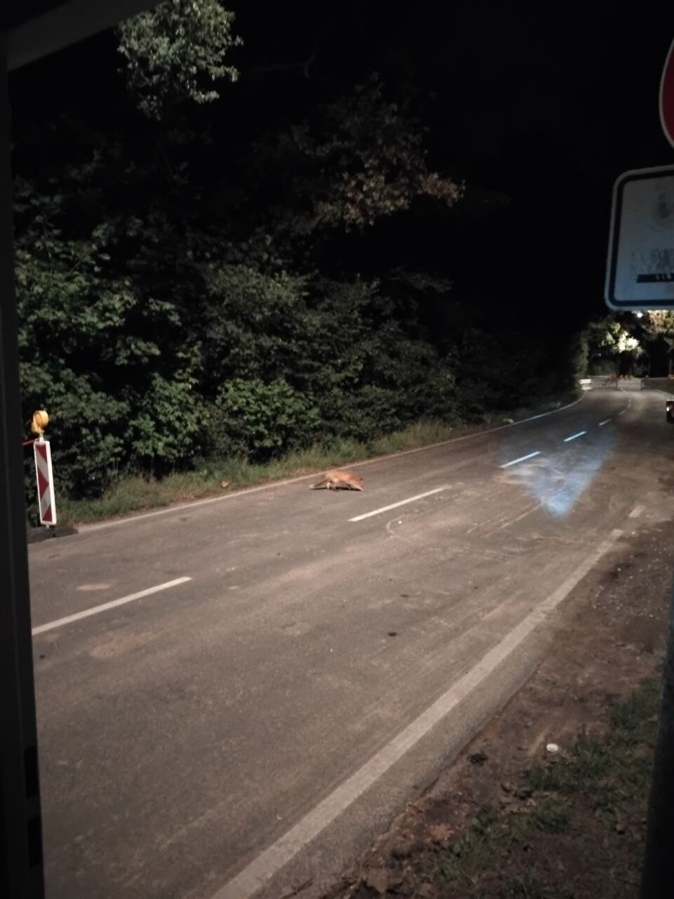 https://radika1.link/2025/09/19/photo_2025-09-19_08-32-1784935300261dc92a.jpg