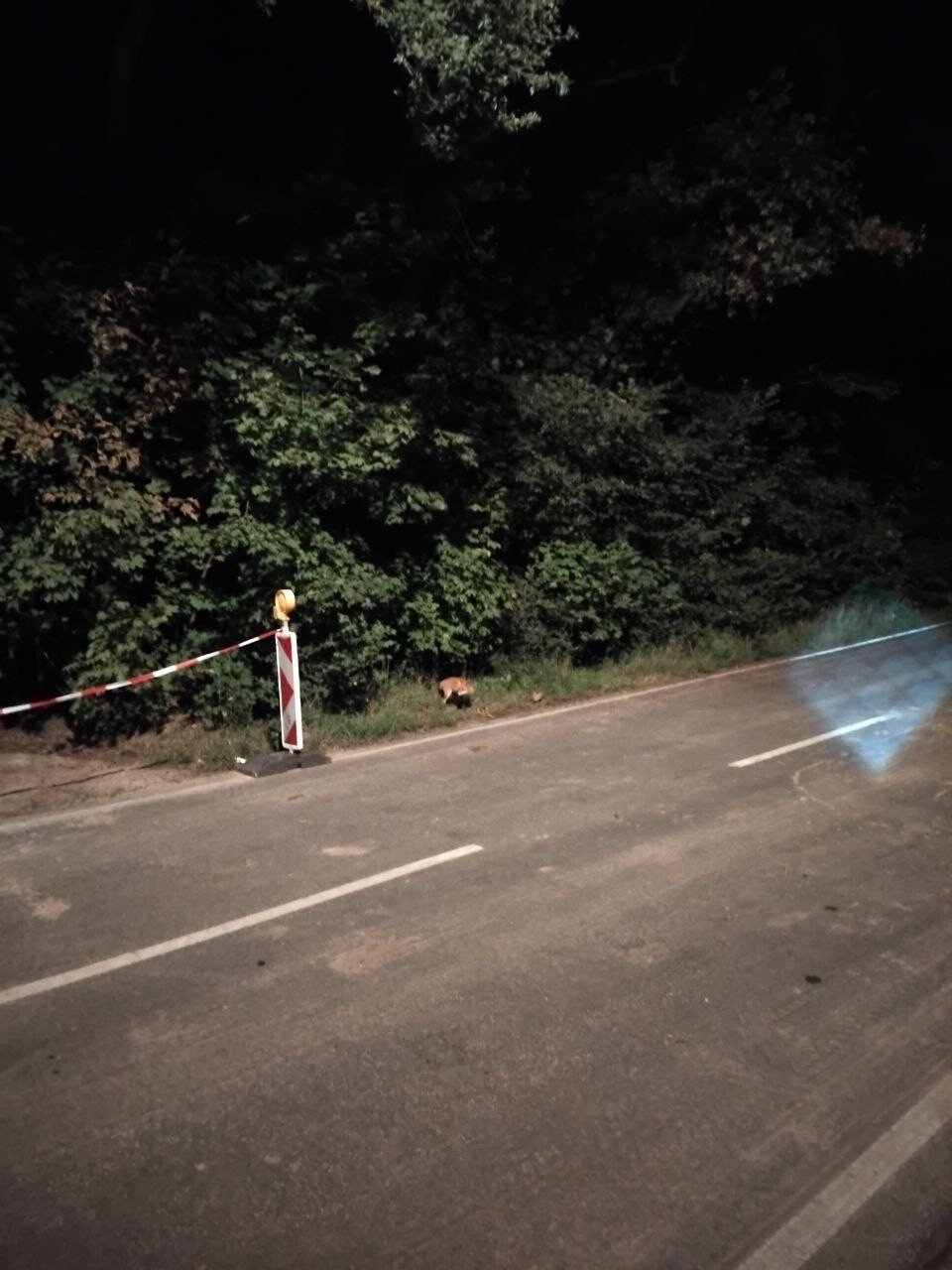 https://radika1.link/2025/09/19/photo_2025-09-19_08-32-19e4b1ddd56e532f5f.jpg