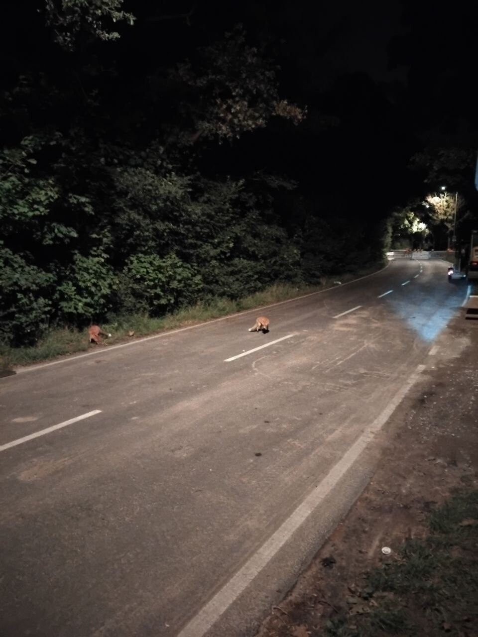 https://radika1.link/2025/09/19/photo_2025-09-19_08-32-20-54237d737cbfcc940.jpg