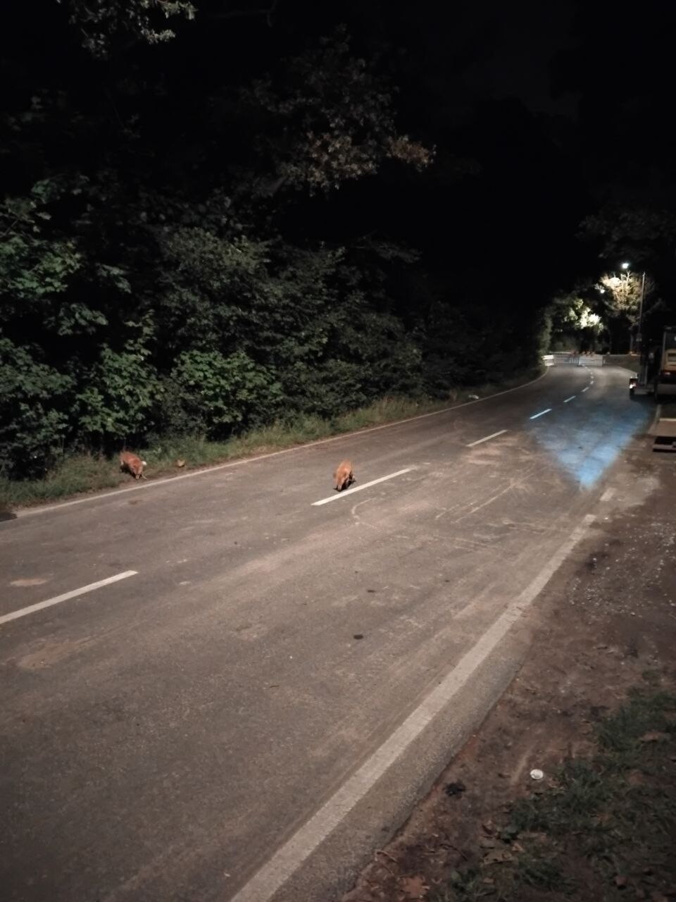 https://radika1.link/2025/09/19/photo_2025-09-19_08-32-20-623925031b23c6c6b.jpg