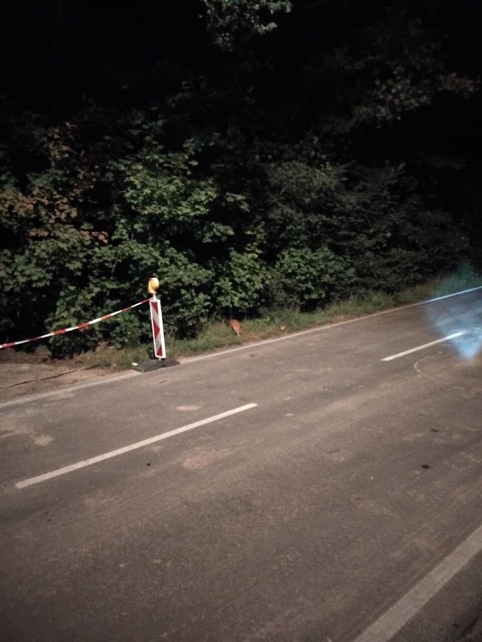 https://radika1.link/2025/09/19/photo_2025-09-19_08-32-20-8d6390dc54a96b764.jpg