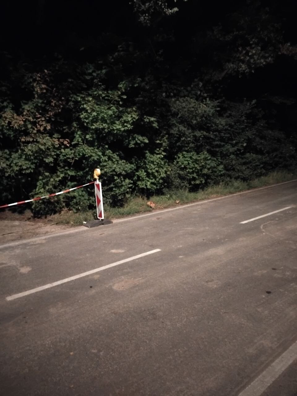 https://radika1.link/2025/09/19/photo_2025-09-19_08-32-2095b836c188ed6a66.jpg