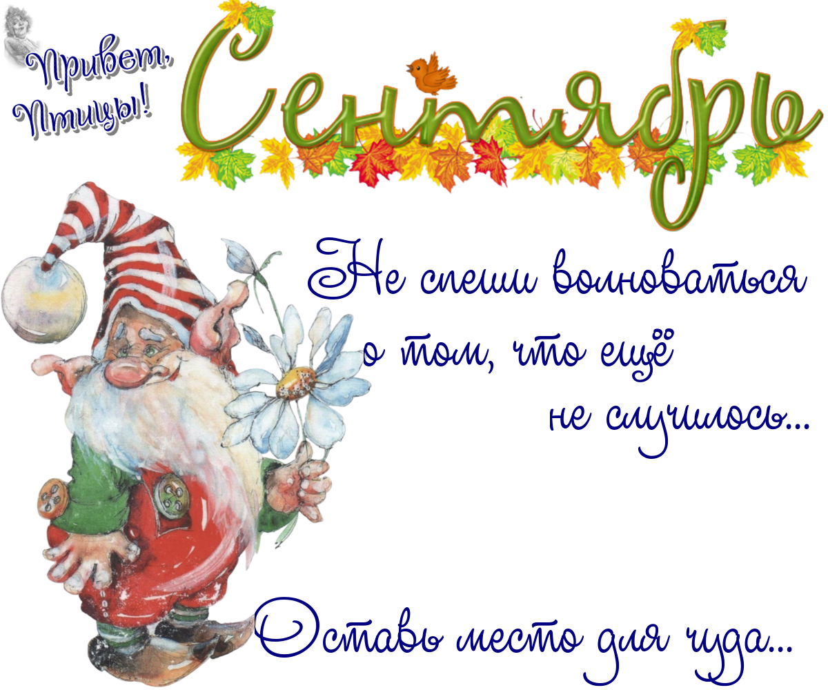 https://radika1.link/2025/09/20/20_094f15b650c10dd01a.png