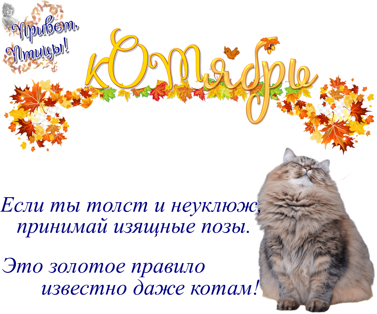 https://radika1.link/2025/10/06/06.098dda9b047d55ec7e.png