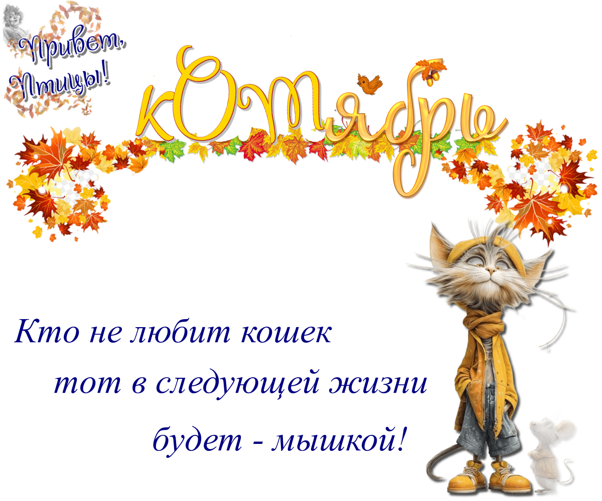 https://radika1.link/2025/10/08/08.09ad1c9a1eb6204556.png
