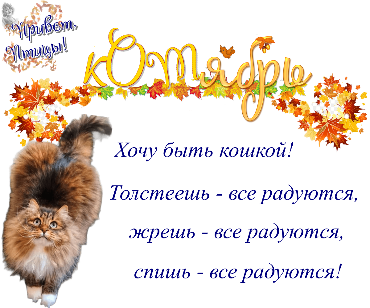 https://radika1.link/2025/10/09/09.09418047dc5f17ac2a.png