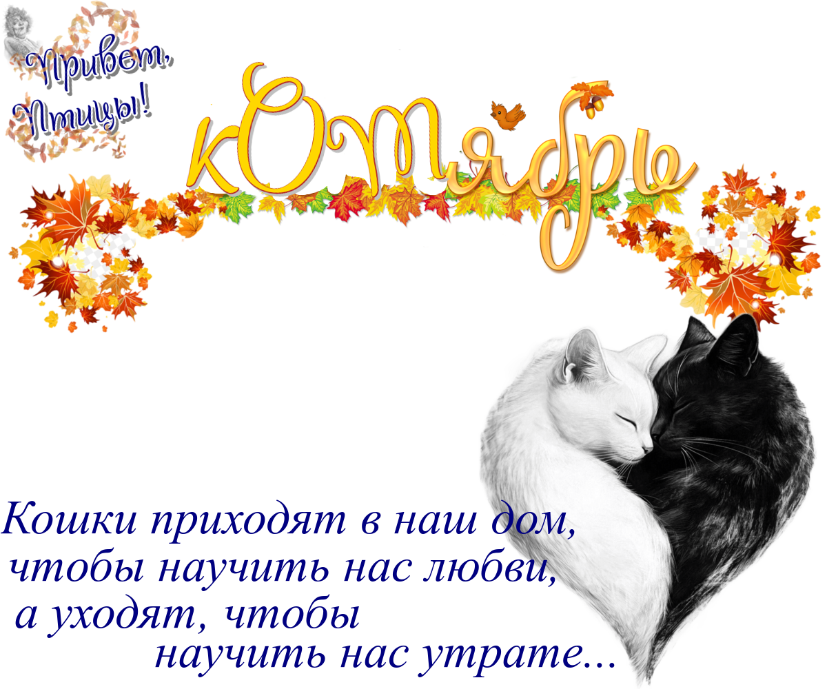 https://radika1.link/2025/10/10/10.093cce180afd71aa03.png