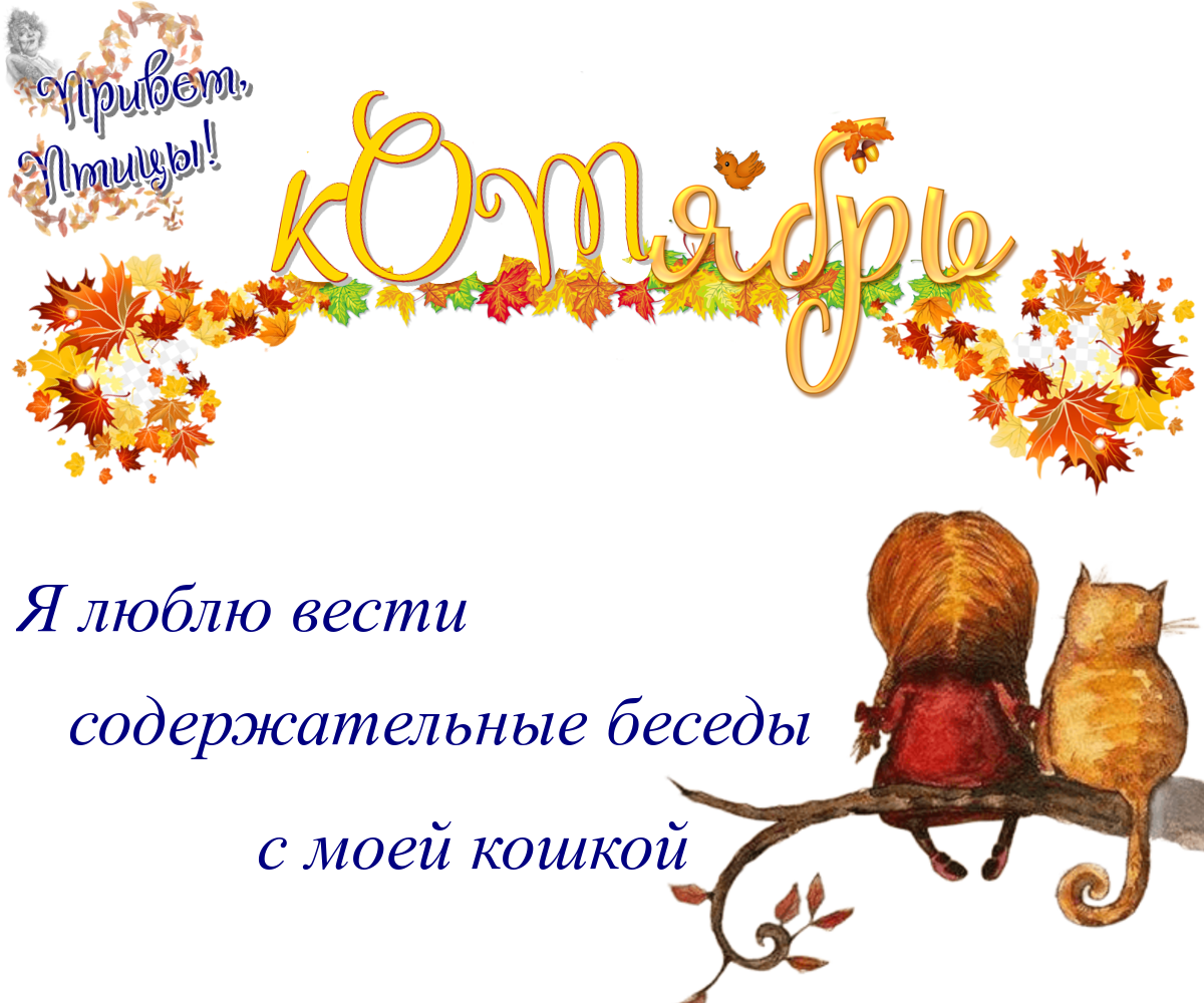 https://radika1.link/2025/10/13/13.0919f705ecf15b3e96.png