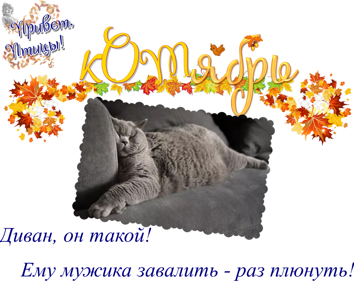 https://radika1.link/2025/10/17/17.0997e1de32822fcfc2.png