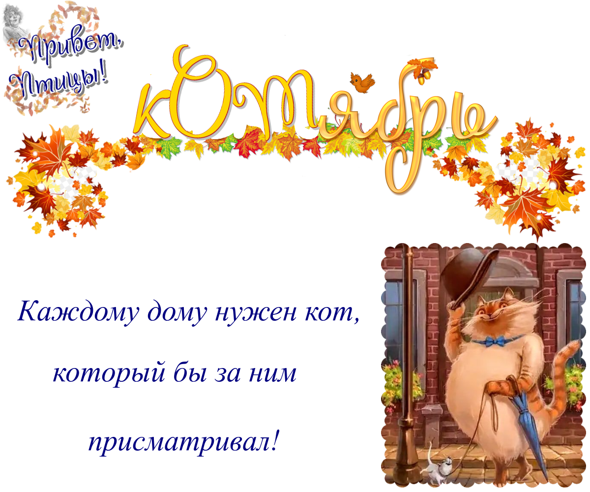 https://radika1.link/2025/10/21/21.091c9877f5d632c0f8.png