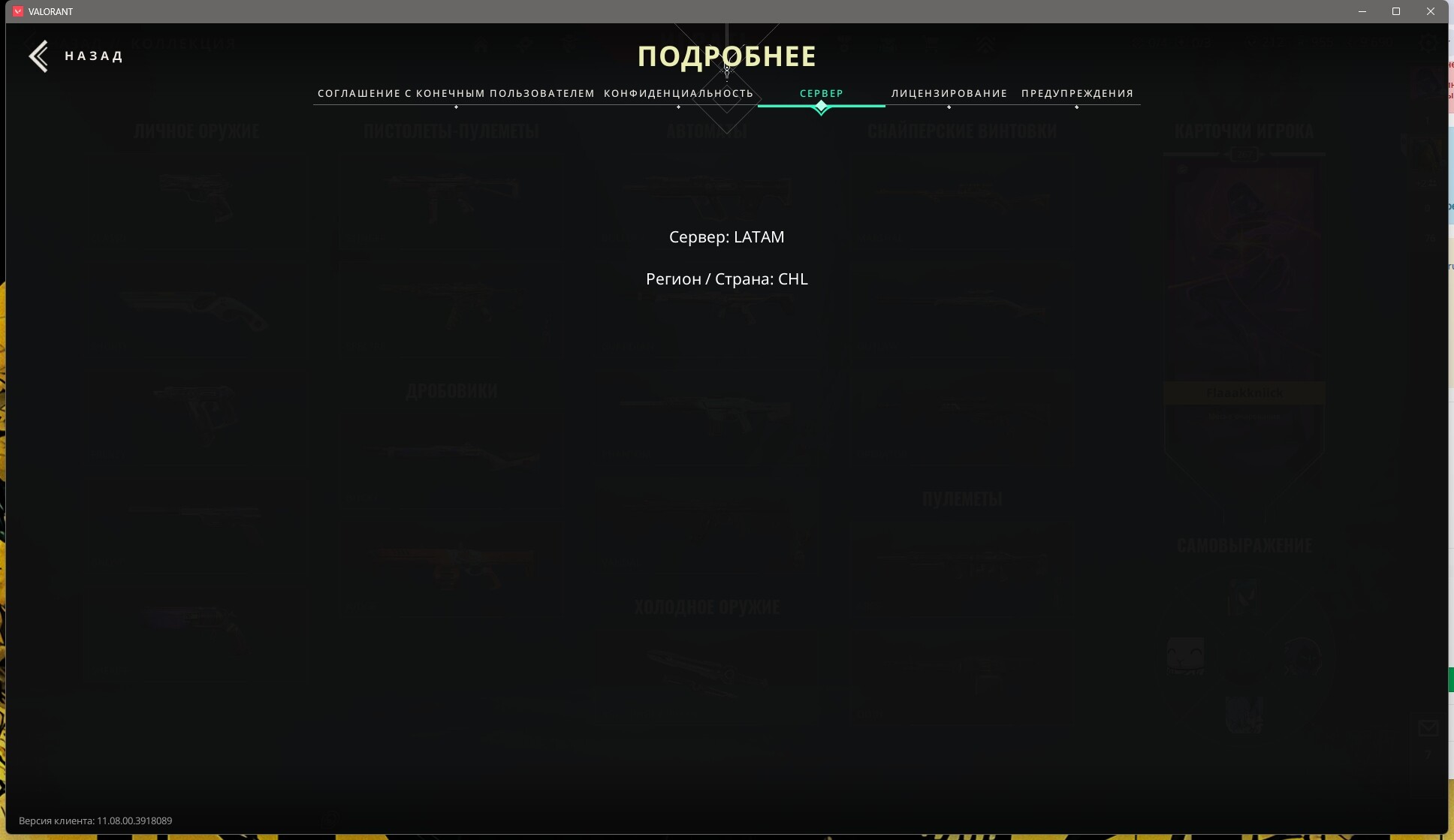 ScreenShot 20251022030047