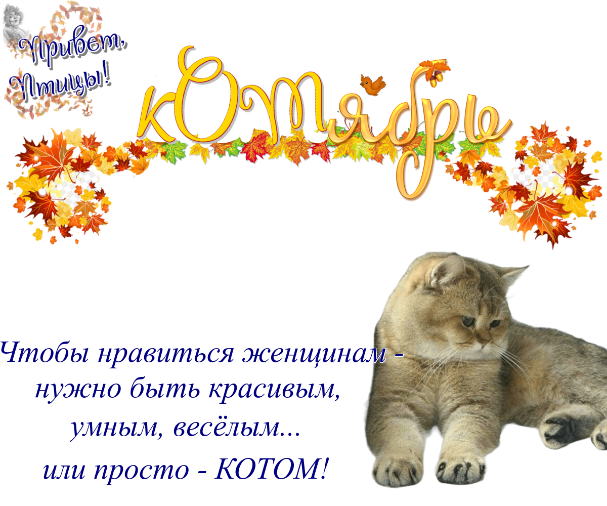 https://radika1.link/2025/10/24/24.0979eed03f0d404e08.png
