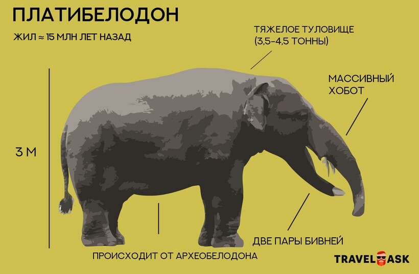https://radika1.link/2025/10/28/ta21_1_MONTAZNAY_OBLAST_12f5d849287dbf024.jpg