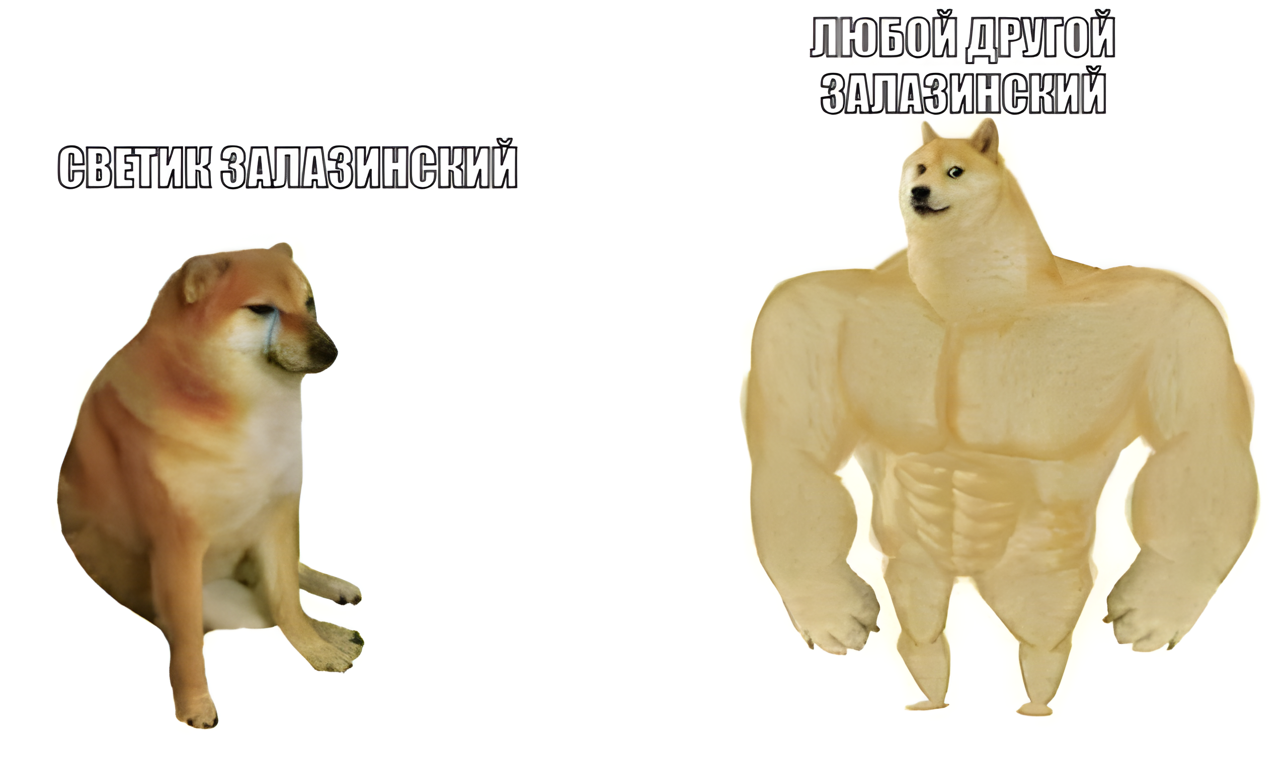MEM-KACOK-I-SVETIK5936b27ffc888fbe.png