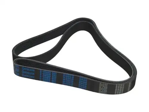 Ремень 8PK1670 WD10G.220