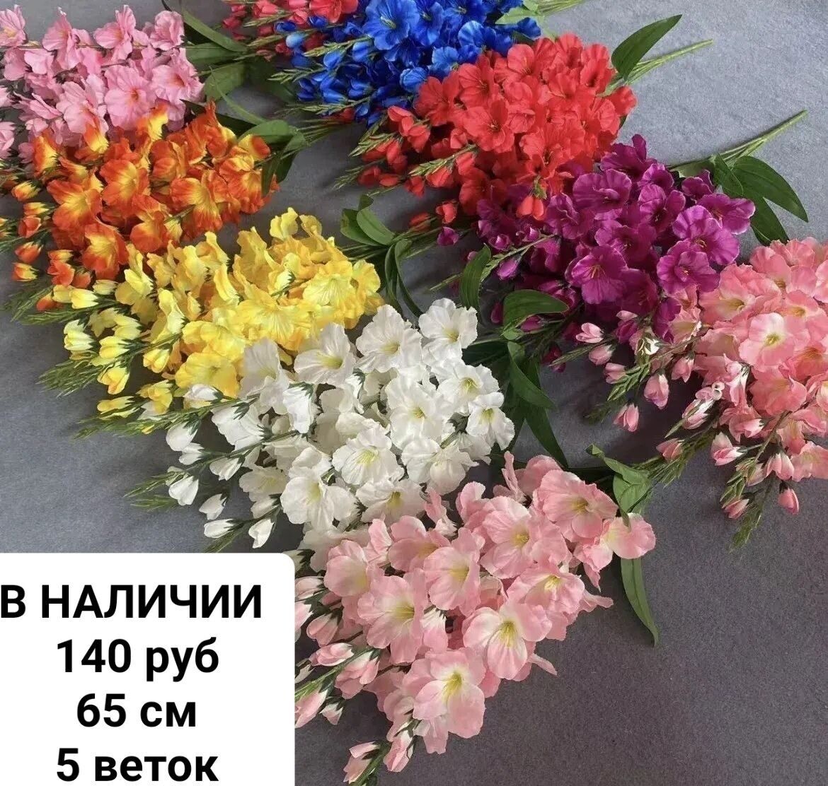 https://radika1.link/2026/03/15/IMG_20260315_18310371d9d27ae646f038.jpg