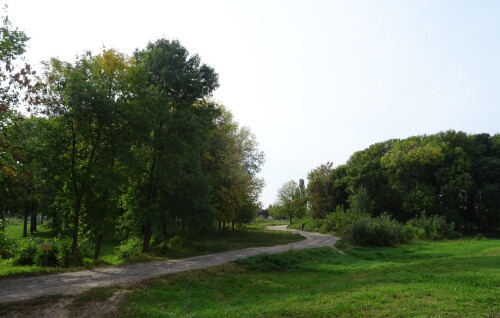 За городом