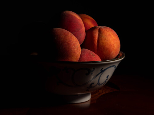 eda1330d855a99608f93e.jpg