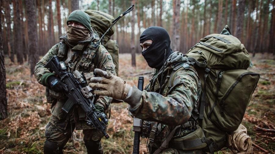 Немецкая разведка BND - секреты Пуллаха, слежка за союзниками, кибервойна Немецкая разведка BND - секреты Пуллаха, слежка за союзниками, кибервойна