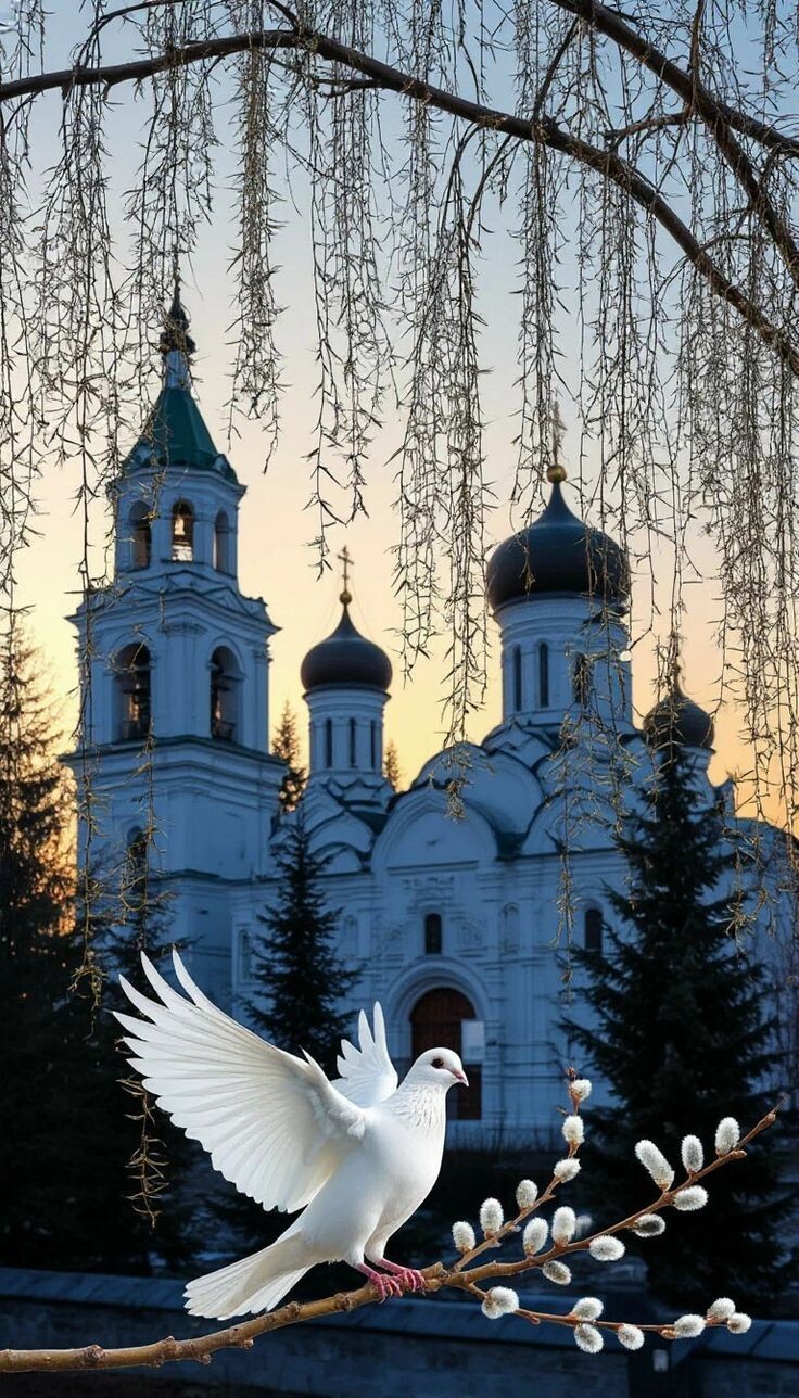 https://radika1.link/2026/05/18/rus22u9c6a63a7e5297dfc.jpg