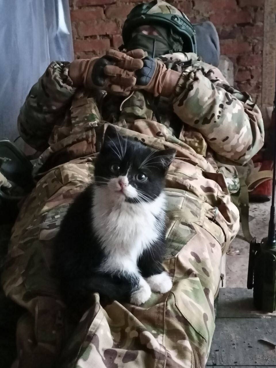 https://radika1.link/2026/05/19/12ld55366da9e7b358c.jpg