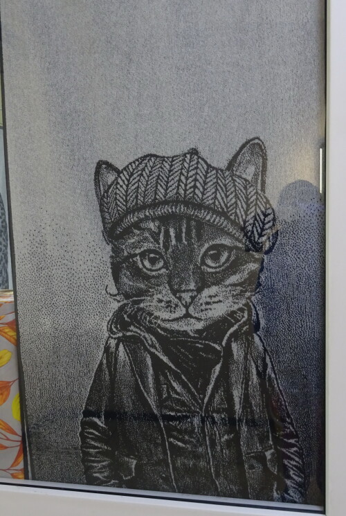 Кот