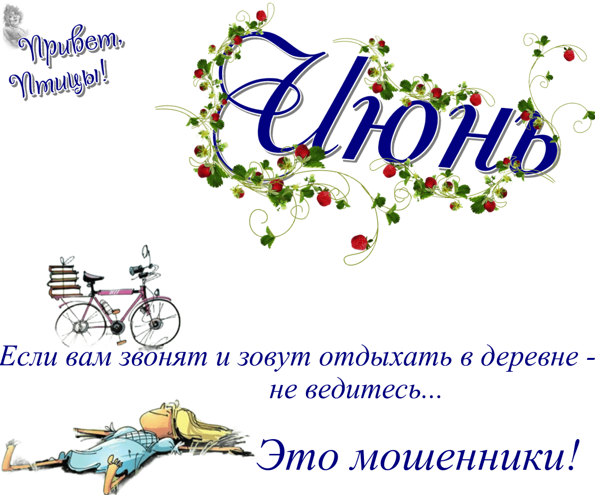 https://radika1.link/2026/06/12/12_0622db92120d3ba37f.png