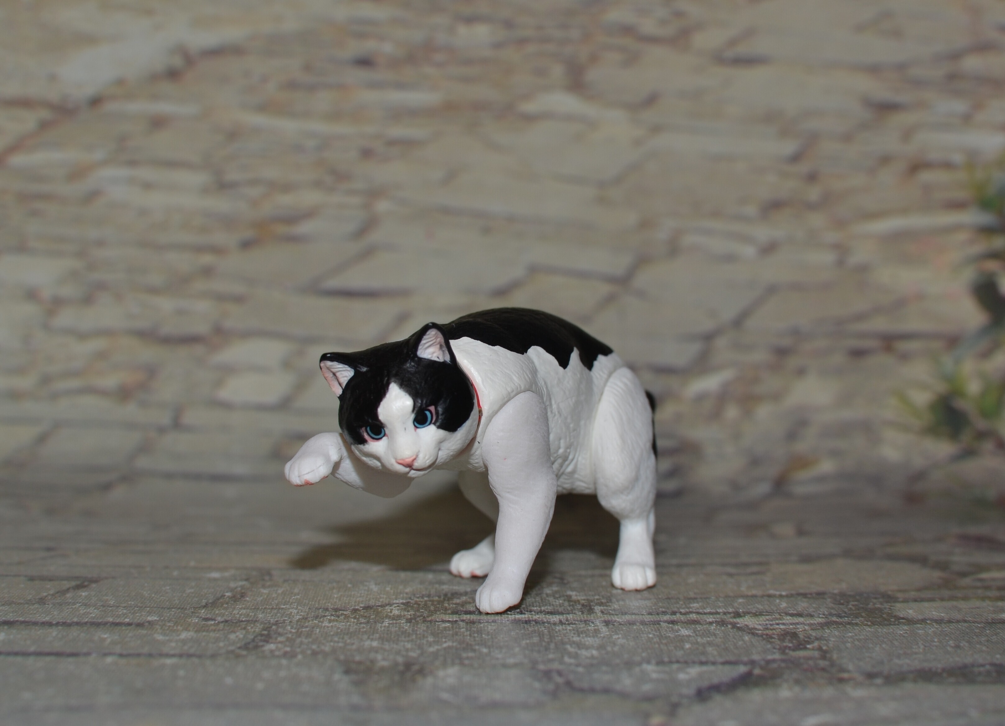 DSC 0061