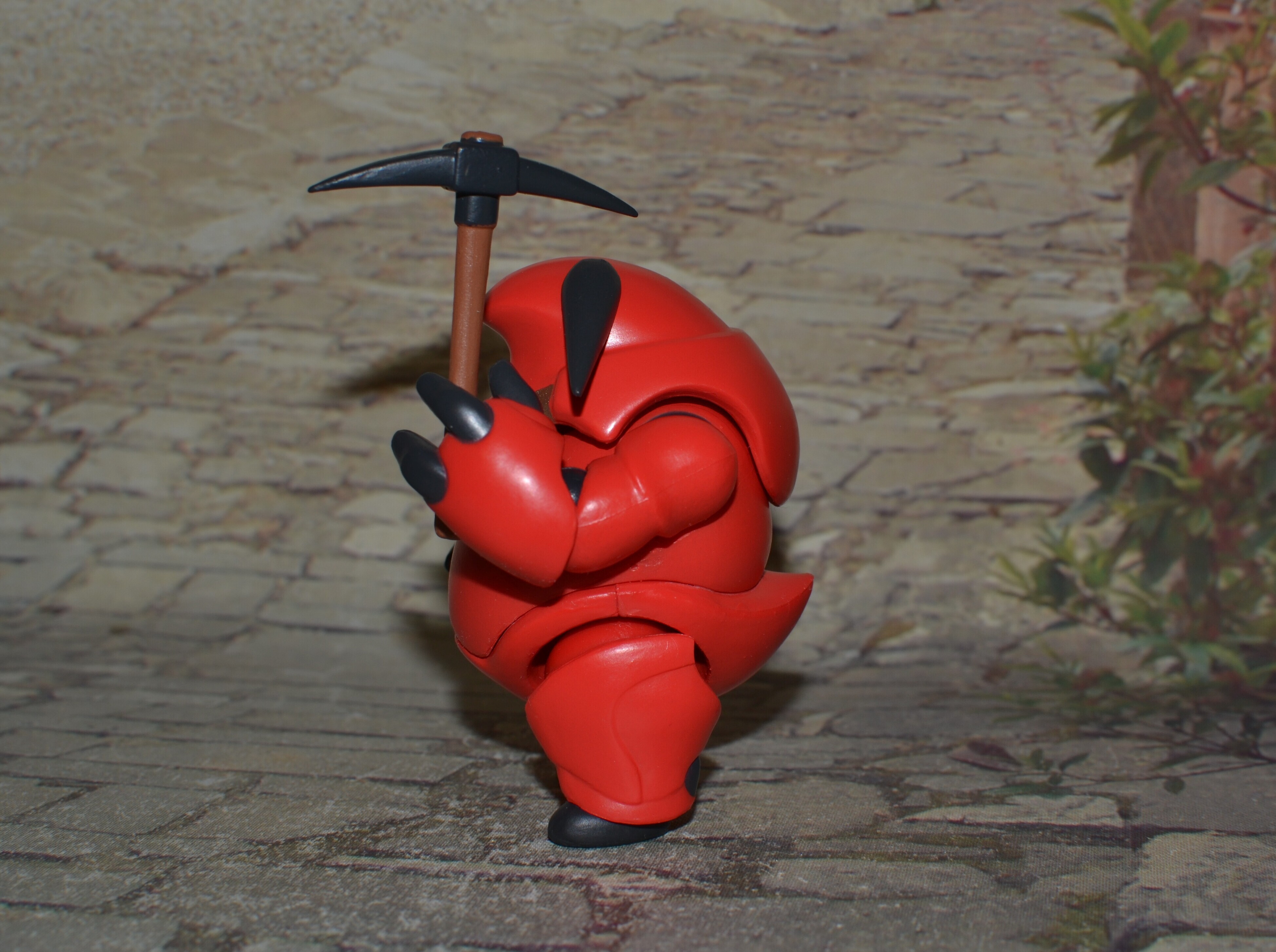 DSC 0229