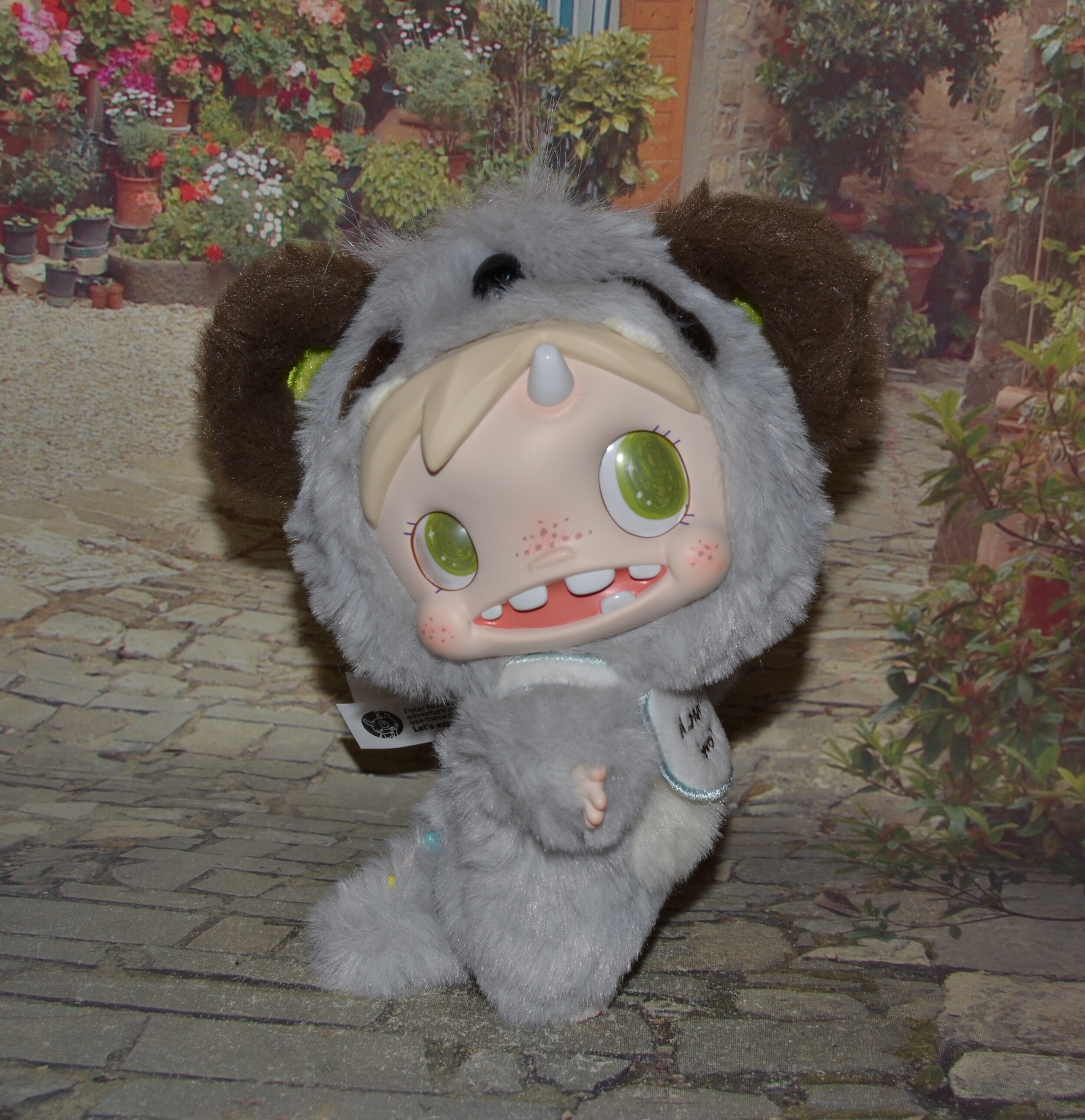 DSC 0077