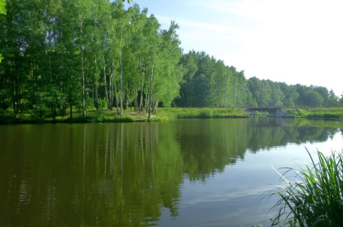 Английский парк