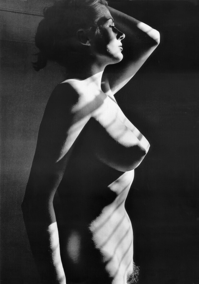https://radika1.link/2026/07/18/anita-ekberg19a63aa32c04313ddda.jpg