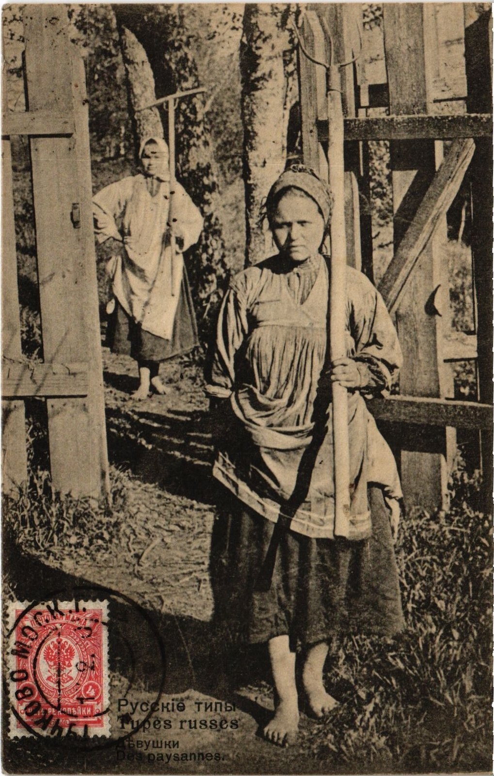 https://radika1.link/2026/07/19/22z74224f8979ed255d.jpg