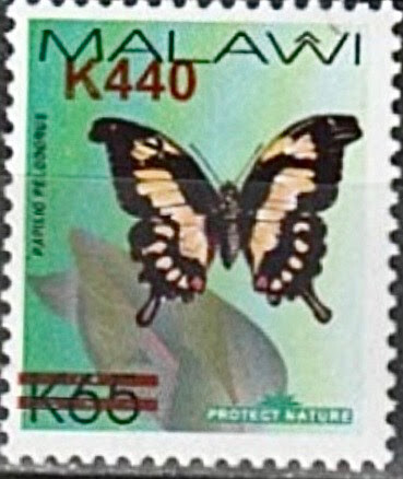 https://radika1.link/2026/07/23/00000-00000000000000aaqe4437db04fb36b26.jpeg