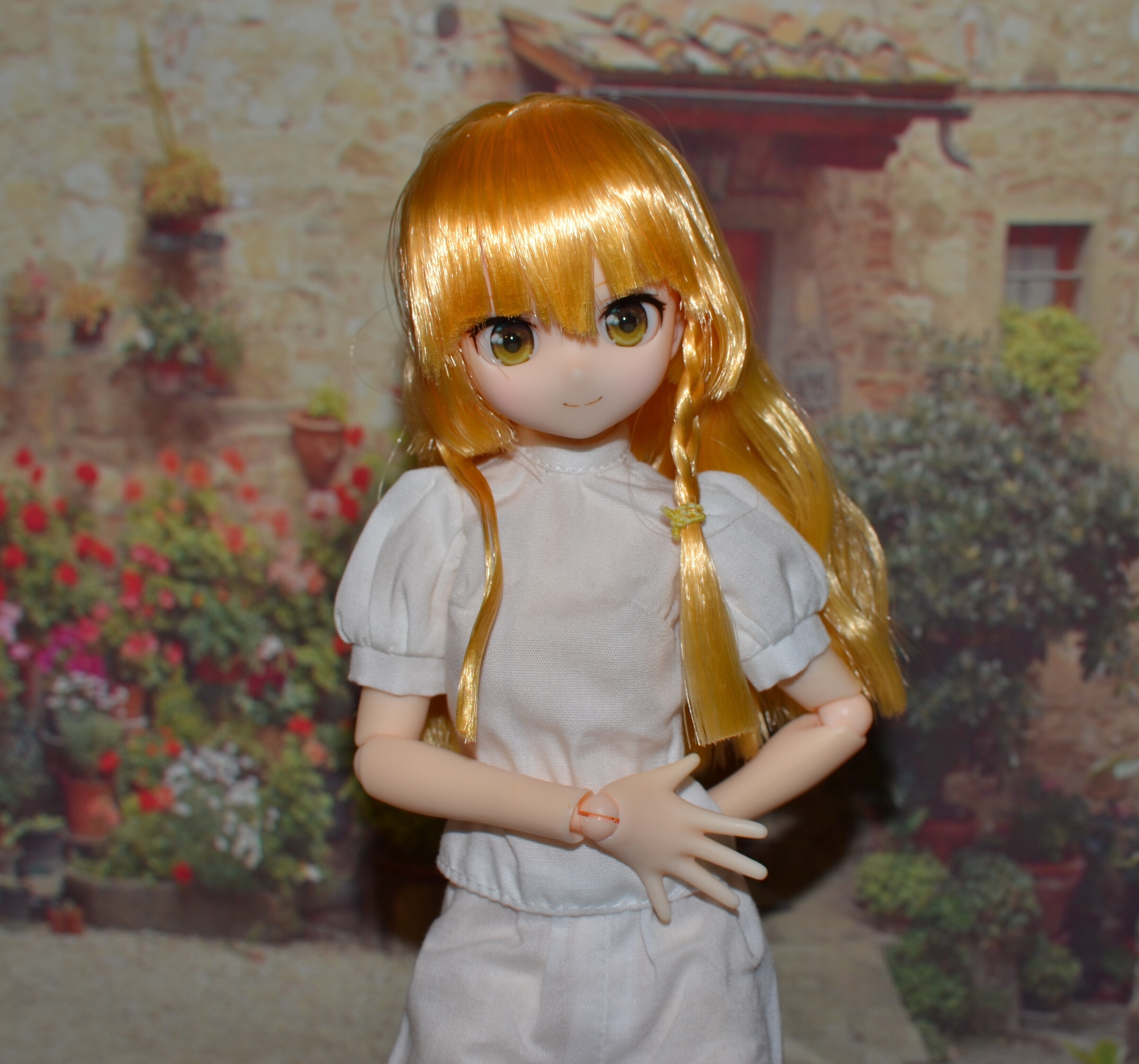 DSC 0590