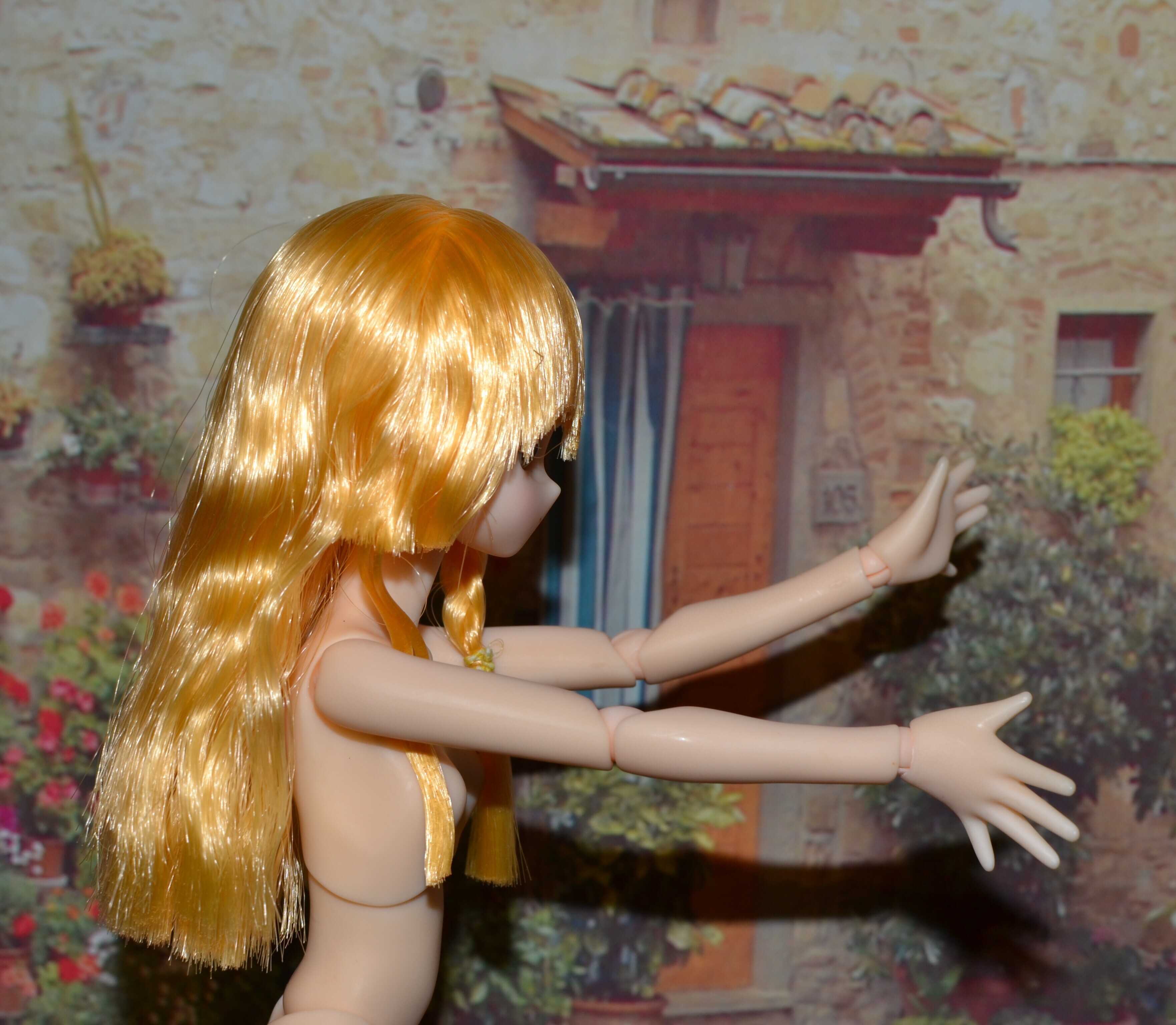 DSC 0600