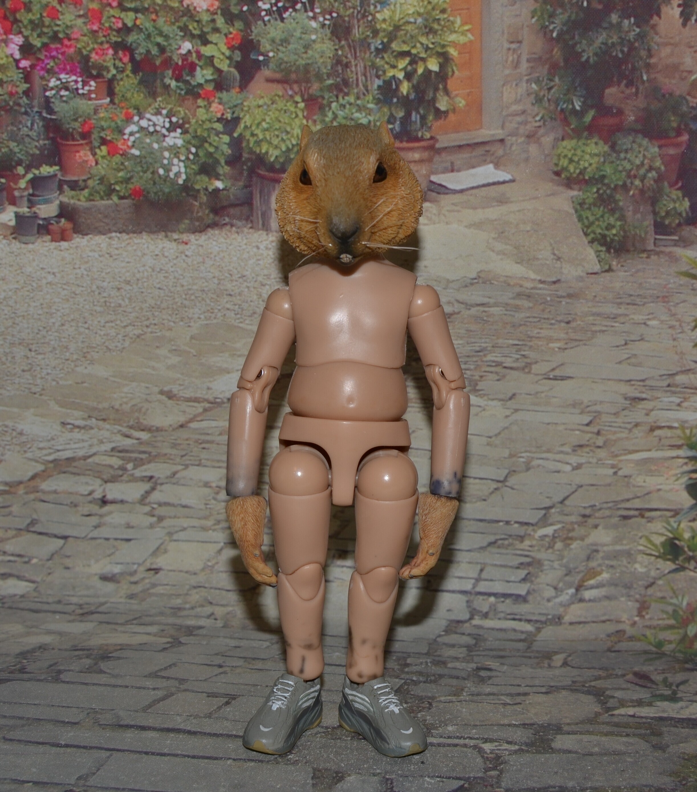 DSC 0108