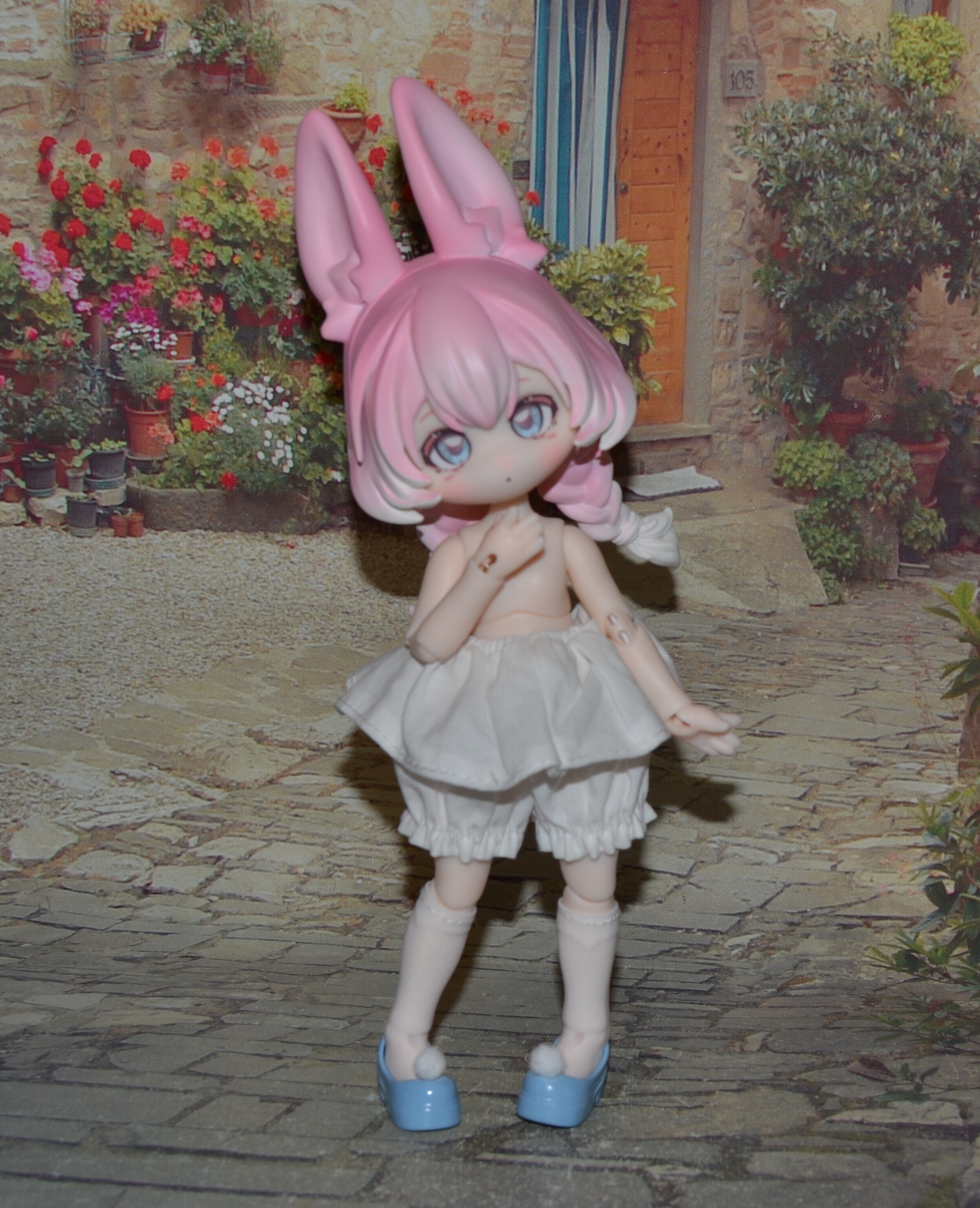 DSC 0137