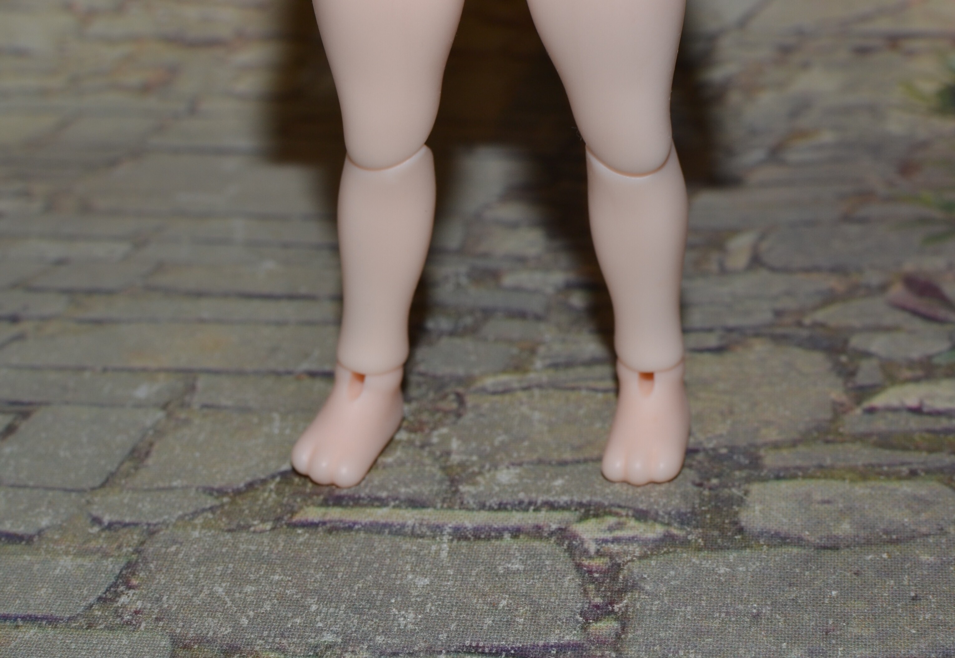 DSC 0145