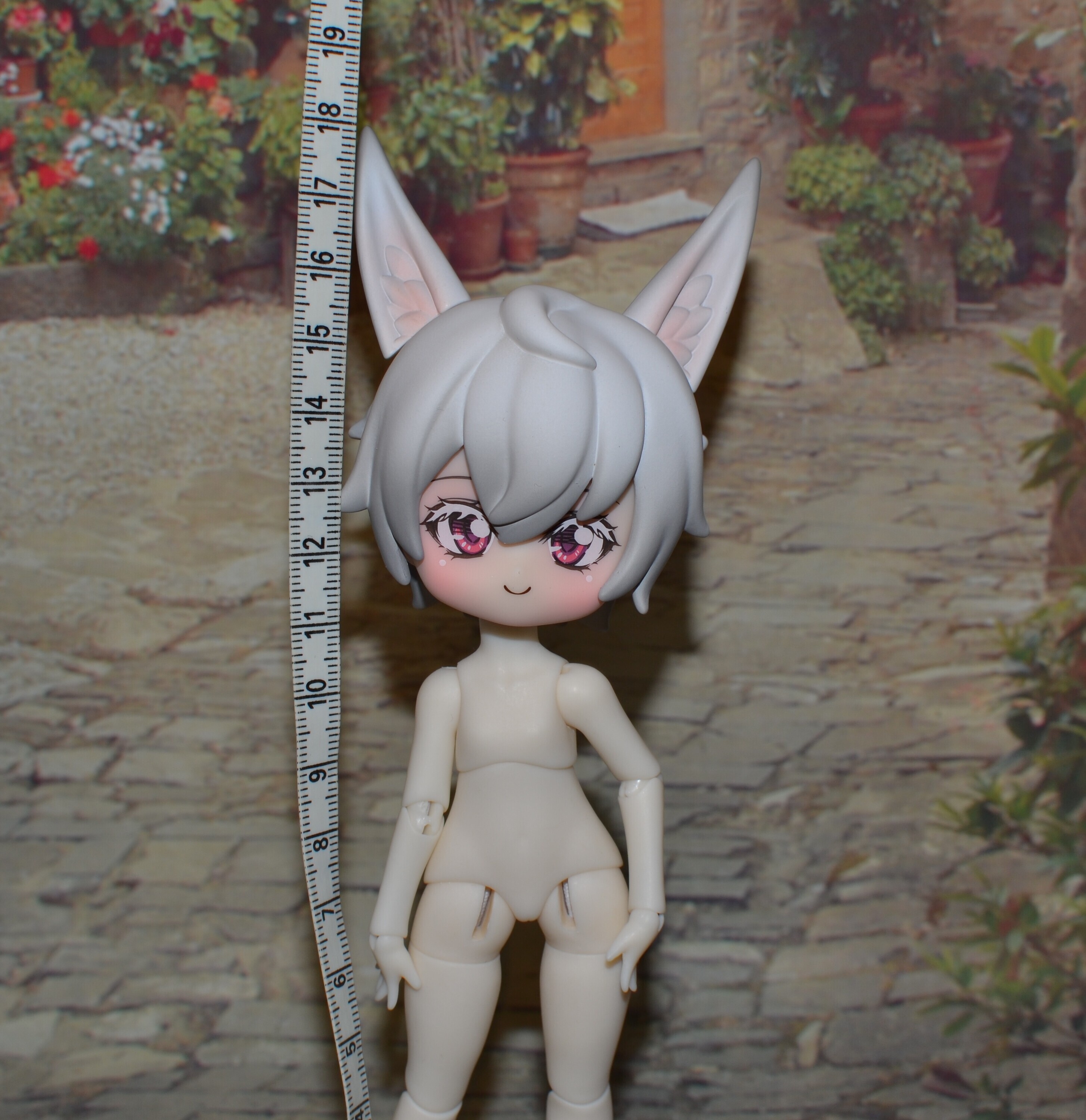DSC 0733